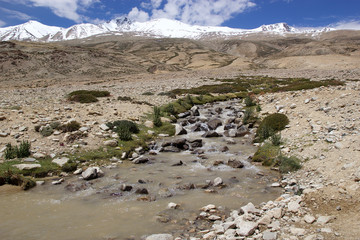 Stream near the Tso Moriri Lake in Ladakh, India