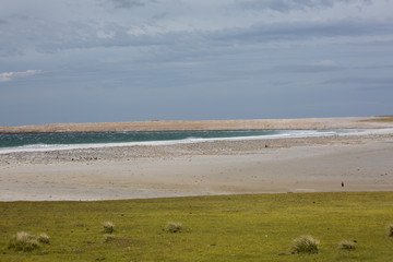 Falklands stürmische Küste