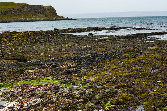 Rathlin Island In Ireland