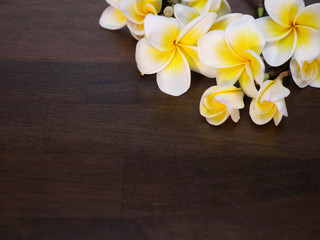 Fototapeta na wymiar white and yellow flowers