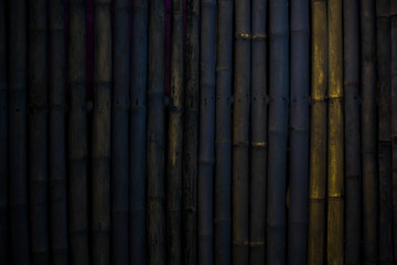 Dark bamboo background