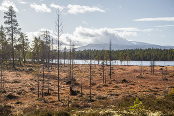Obraz premium A beautiful lake landscape in Femundsmarka National Park in Norway. Lake with a distant mountains in background. Beautiful autumn scenery with vivid colors.