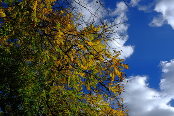 Automne à Paris, France