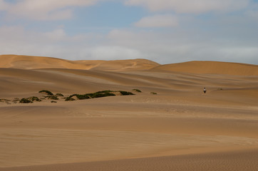 Fototapeta na wymiar Living desert sand dunes near Swakopmund