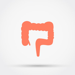  Large intestine vector icon.