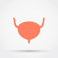 Urinary bladder vector icon.