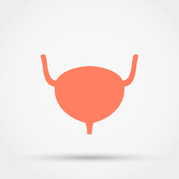 Urinary Bladder Vector Icon.