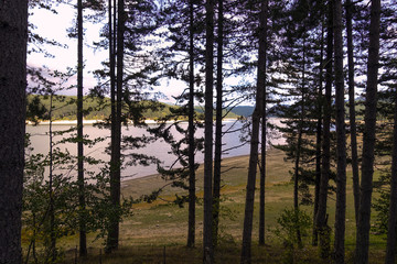 il lago Arvo intravisto dalla foresta 192