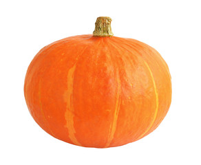 Small striped round pumpkin