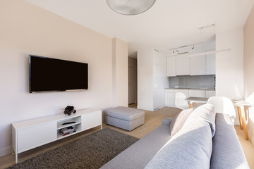 Studio flat with tv room