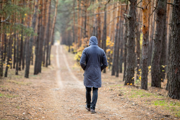 man walks away on a pine forest road. back view