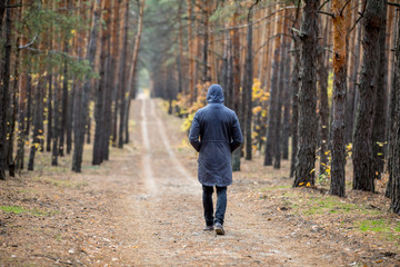 Fototapeta premium alone in the forest. a man in a pine forest. stands with his back to the camera. the face hides the hood 