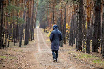 a man in a pine forest stands with his back to the camera and looks into the distance. the face hides the hood 