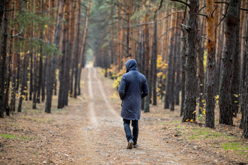Fototapeta premium a man in a pine forest stands with his back to the camera and looks into the distance. the face hides the hood 