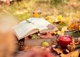Naklejka na ściany i meble Open book with autumn leaves and cup