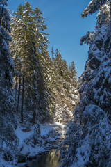 górski potok  © Kamil_k2p