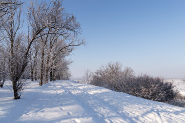 Winter landscape, snow-covered road and trees covered with white snow, a clear day