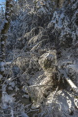 Górski strumień © Kamil_k2p