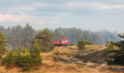 Naklejka premium Forest fire. Burned trees after wildfire, pollution and a lot of smoke
