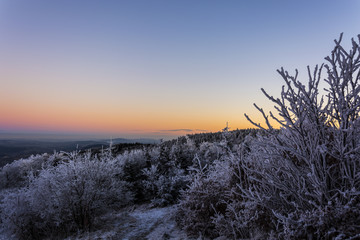 Fototapeta na wymiar Landscape of icing trees at sunset. Shining winter landscape of the sun. Colorful sky from sunset.
