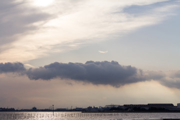 afternoon of autumn at seaside park / Sanbanse Seaside Park in Funabashi City, Chiba Prefecture,Japan