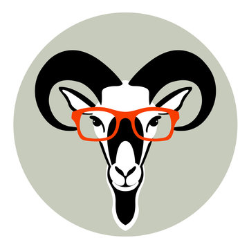 ram sheep face in glasses vector illustration flat style