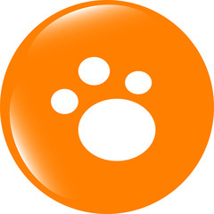 animal footprint glossy web icon isolated on white