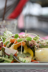 Green young sunflower sprouts salad with mayonnaise.