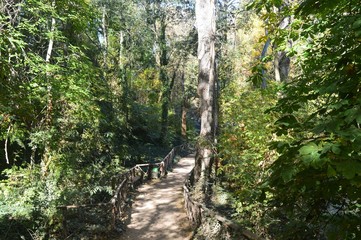 Parque Natural del Monasterio de Piedra en Nuévalos España