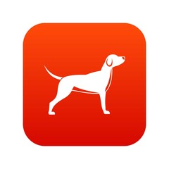 Dog icon digital red