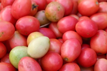 tomatoes at the market