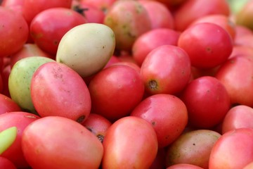 tomatoes at the market
