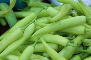 fresh green bell peppers