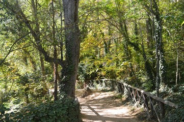 Parque Natural del Monasterio de Piedra en Nuévalos España