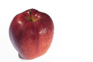 Red wet apple with drops