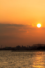 Dusk of autumn at seaside park / Sanbanse Seaside Park in Funabashi City, Chiba Prefecture,Japan