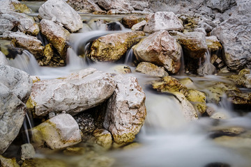 Lo spettacolo acquatico 
