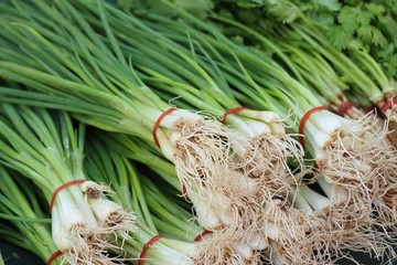Spring onions and coriander market