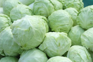 Cabbage at the market