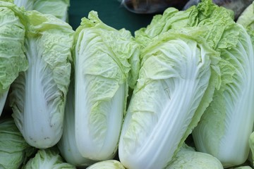 Chinese cabbage at market