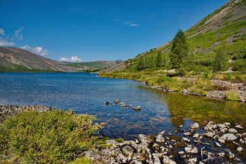 The stones of the mountain rivers of Siberia