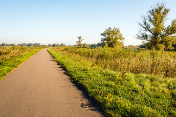 Fototapeta na wymiar Seemingly endless country road