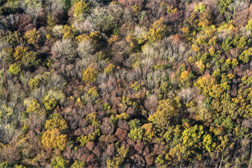 Vue aérienne de forêt à l'automne à Mézières-sur-Seine dans les Yvelines à l'ouest de Paris
