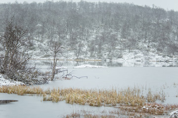 A beautiful Norwegian landscape in first snow in autumn. White, snowy scenery.