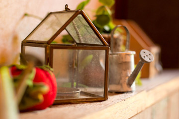 glass house and watering pot with small plant as a decoration in vintage and retro style
