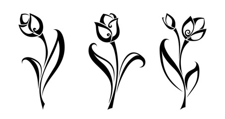 Vector set of black silhouettes of tulip flowers isolated on a white background. - obrazy, fototapety, plakaty