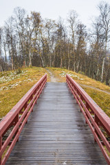 A beautiful autumn landscape in Norway with a wooden bridge. Colorful, natural scenery.