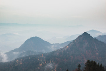 Autumn mountain, mist © Bogdan