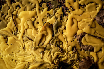 Close-up of yellow melt wax, yellow wax abstract concept, wax art background