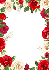 Vector frame background with red and white roses.